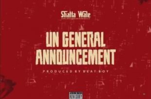 Shatta Wale - Samini Diss (UN General Announcement)