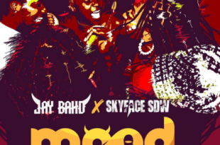 Jay Bahd Ft Skyface SDW – Mood