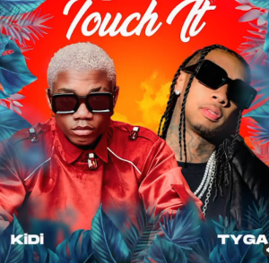 KiDi Ft Tyga – Touch It Remix MP3