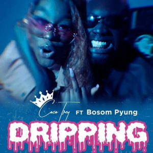 Cocotrey Ft Bosom Pyung – Dripping MP3